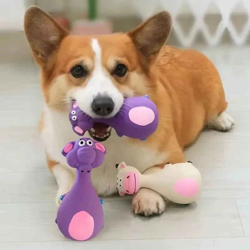 Juguetes Chirriantes de Goma para Perros